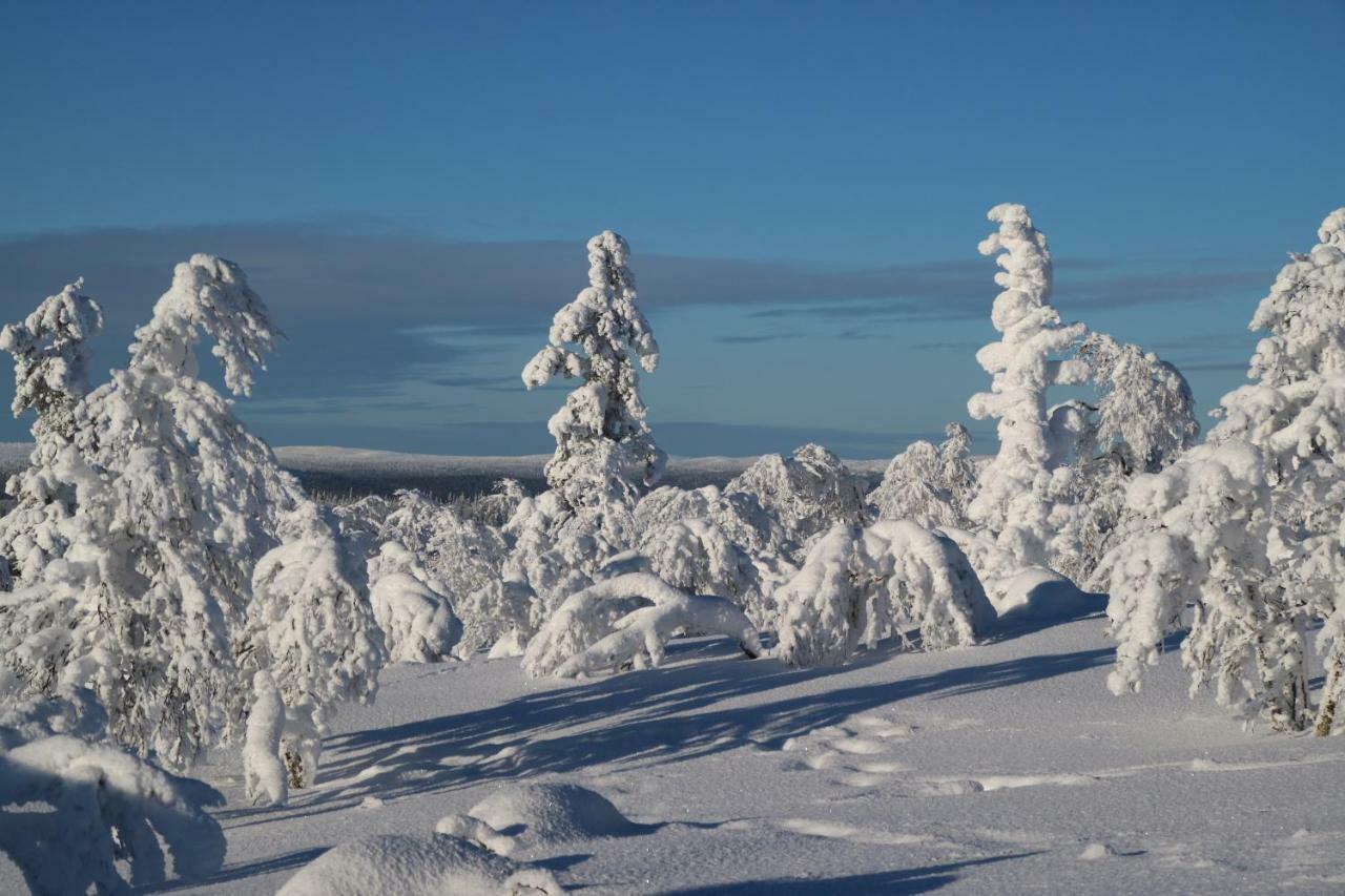 Polaris Homes For You, Apartment Rovaniemi Bagian luar foto